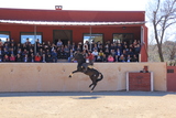 IMG_5244.JPG
