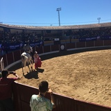 IMG_2141.JPG
