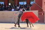 IMG_5347.JPG